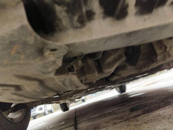 [青岛·鲁U] 二手本田锋范经典2008款 1.5L 自动精英版