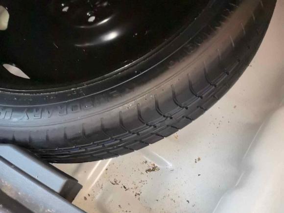 [嘉兴·浙F] 二手大众途岳2019款 280TSI 两驱豪华版 国VI