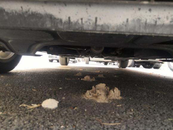 [上海·沪B] 二手大众POLO2013款 1.4L 自动舒适版