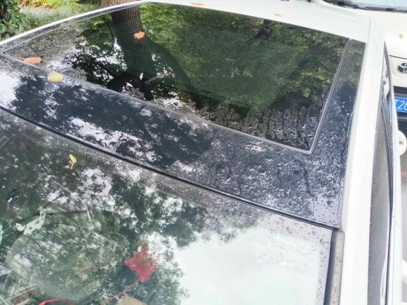 [合肥·皖A] 二手大众高尔夫2019款 280TSI DSG舒适型 国V