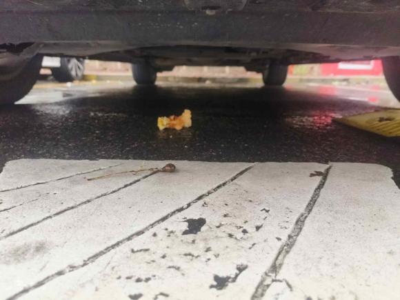 [南京·苏A] 二手比亚迪宋MAX2019款 1.5T 自动智联睿逸型 7座 国V