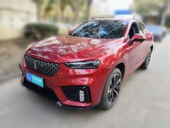 [苏州·苏U] 魏牌魏牌 VV7 GT2020款 2.0T 旗舰型