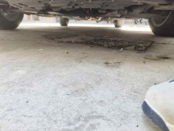 [温州·浙C] 二手启辰启辰D602019款 十万荣耀 1.6L XL 手动辰酷版 国VI