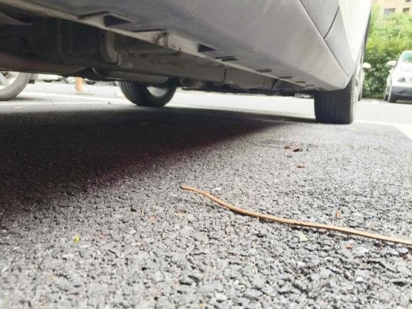 [嘉兴·浙F] 二手吉利汽车帝豪GS2019款 1.4T CVT雅