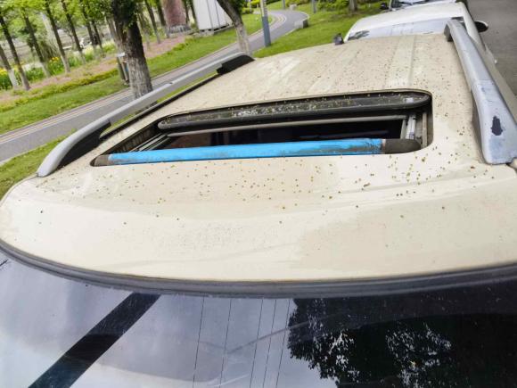 [苏州·浙F] 二手起亚秀尔2013款 1.6L AT Premium