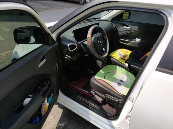 [上海·沪A] 二手欧拉欧拉白猫2020款 401km 旗舰型