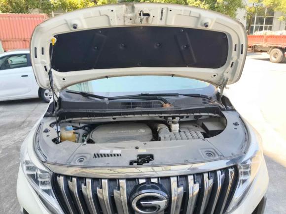 [上海·沪D] 二手广汽传祺传祺M82021款 大师系列 390T 至尊版