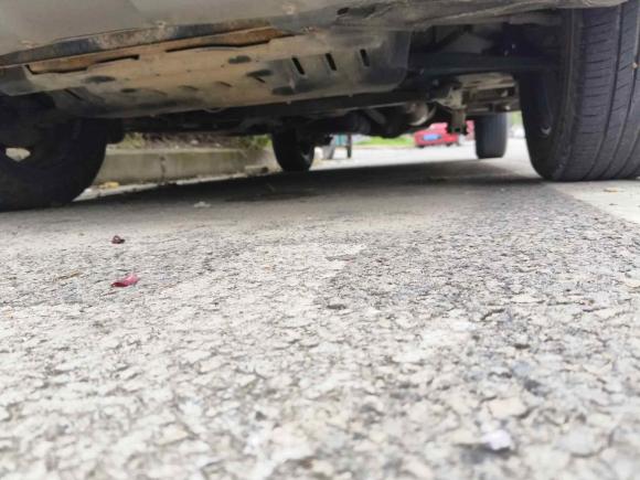 [温州·浙C] 二手力帆汽车迈威2016款 1.5L 自动智享型