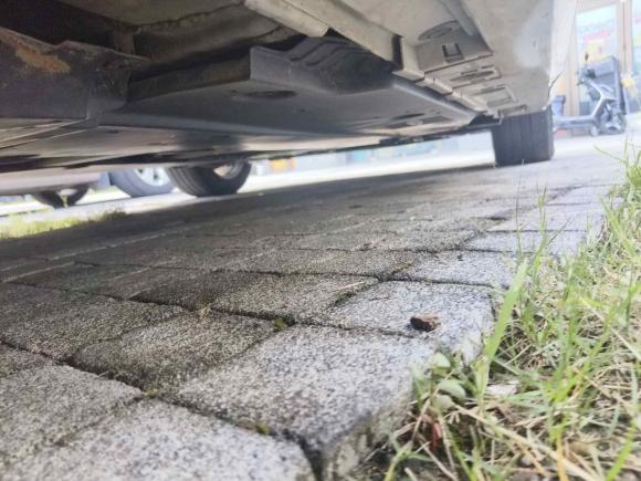 [嘉兴·浙F] 二手丰田雷凌2022款 双擎 1.8H E-CVT豪华版