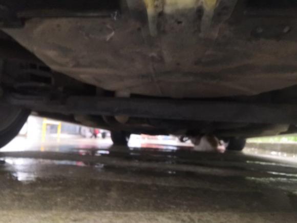 [南通·苏F] 二手名爵名爵32014款 1.5L 手动精英版