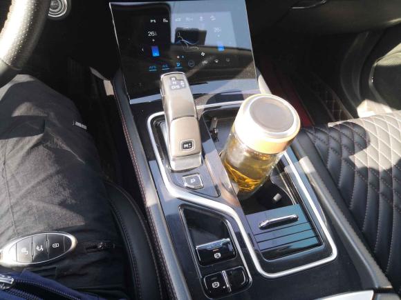 [合肥·皖A] 二手奔腾奔腾T992020款 20TD 自动尊享型