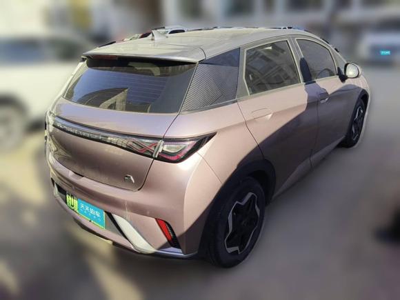 [常州·苏D] 二手比亚迪海豚2021款 405km 时尚版