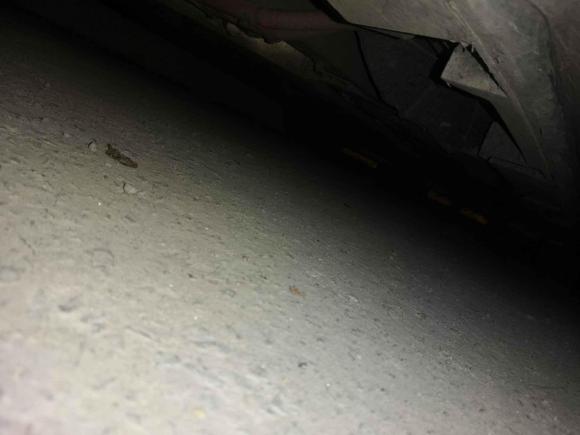 [广州·粤A] 二手埃安AION S2019款 炫 630