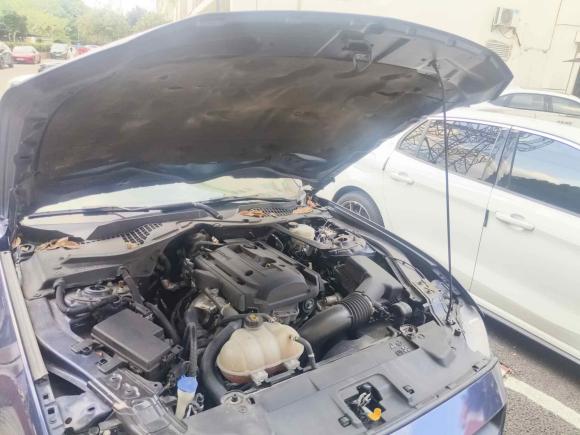 [杭州·浙A] 二手福特Mustang2019款 2.3L EcoBoost