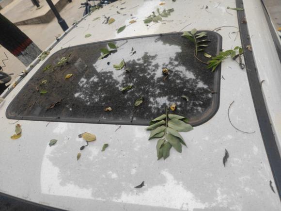 [西安·陕A] 二手比亚迪秦新能源2014款 1.5T 酷黑骑士旗舰型