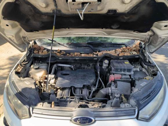 [台州·浙J] 二手福特翼搏2013款 1.5L 自动风尚型