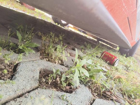 [武汉·鄂A] 二手福特Mustang2019款 2.3L EcoBoost