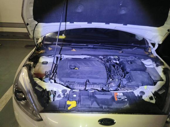 [上海·沪A] 二手福特福克斯2018款 两厢经典 EcoBoost 180 自动运动型