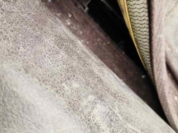 [杭州·赣E] 二手奔腾奔腾T772019款 230 TID 自动尊享型 国V