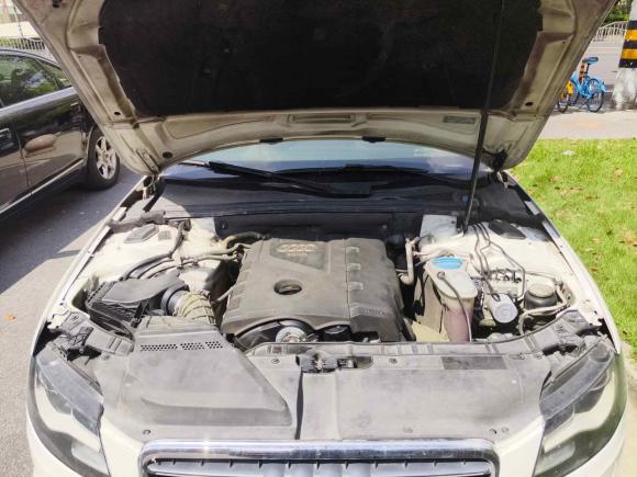 [上海·鲁Q] 二手奥迪奥迪A4L2012款 2.0 TFSI 自动技术型
