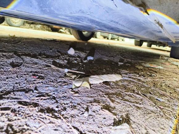 [深圳·粤B] 二手起亚起亚K22017款 三厢 1.4L AT GLS