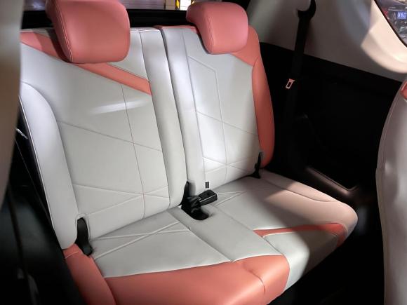 [佛山·粤A] 二手奇瑞新能源小蚂蚁2022款 甜粉款 半糖版 磷酸铁锂 30kW 301km