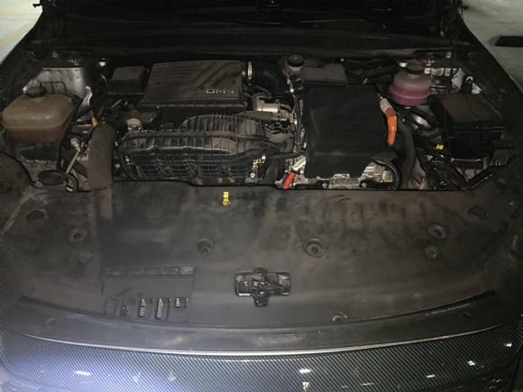 [青岛·鲁B] 二手比亚迪秦PLUS2021款 DM-i 55KM 旗舰型