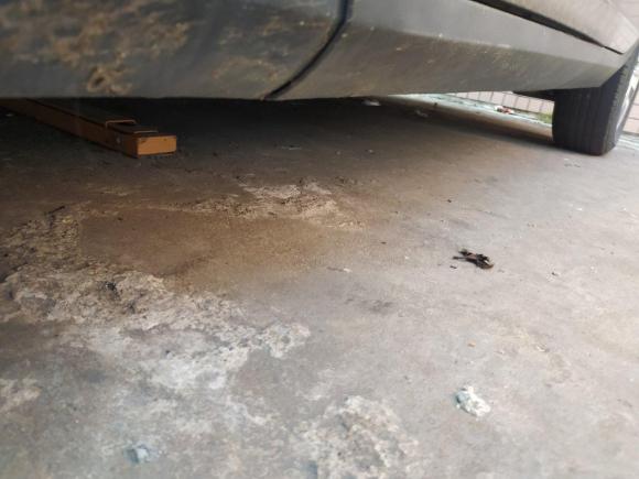 [佛山·粤Y] 二手标致标致20082014款 1.6L 自动时尚版