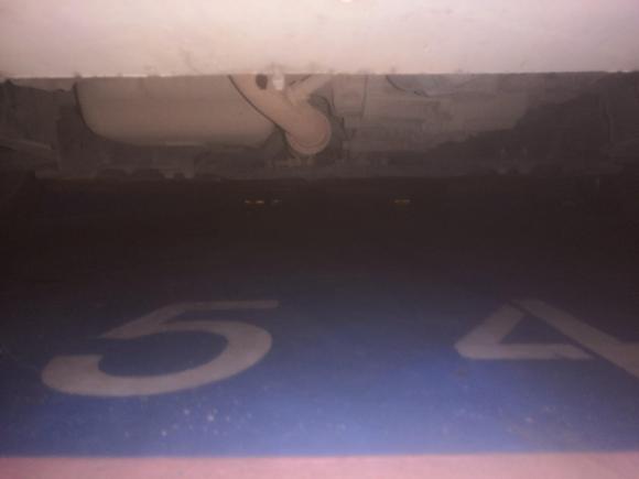 [温州·浙C] 二手雪铁龙爱丽舍2015款 质尚版 1.6L 自动时尚型