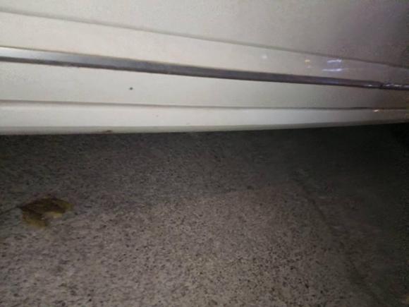 [济南·豫S] 二手斯柯达明锐2020款 1.5L 自动智行豪华版