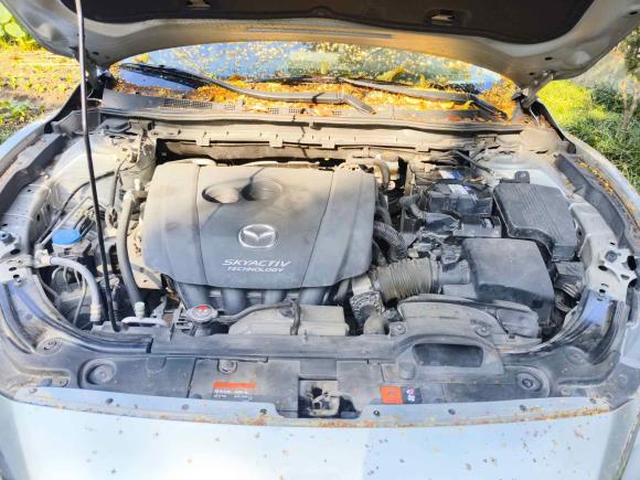 [上海·闽J] 二手马自达阿特兹2018款 2.5L 蓝天运动版 国V