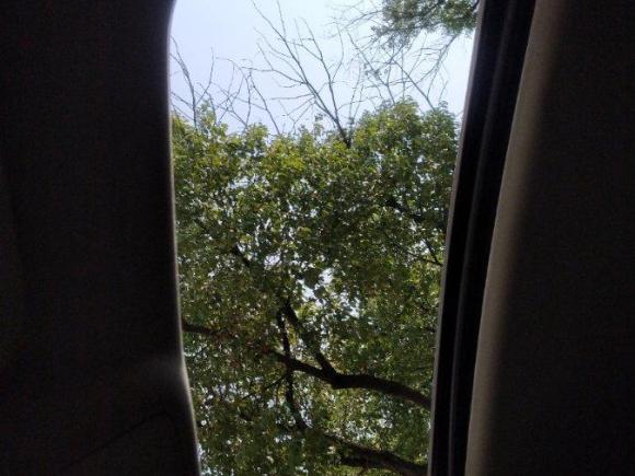 [上海·沪C] 二手别克君威2012款 2.4L SIDI精英版