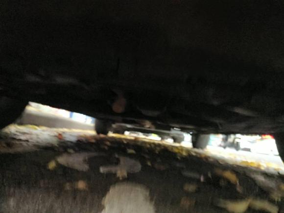 [常州·苏D] 二手铃木天语 SX42011款 改款 1.6L 自动灵动型