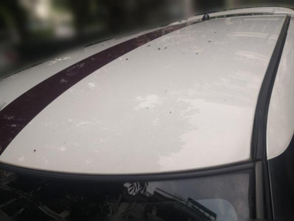 [金华·浙G] 二手铃木雨燕2014款 1.5L 自动时尚型