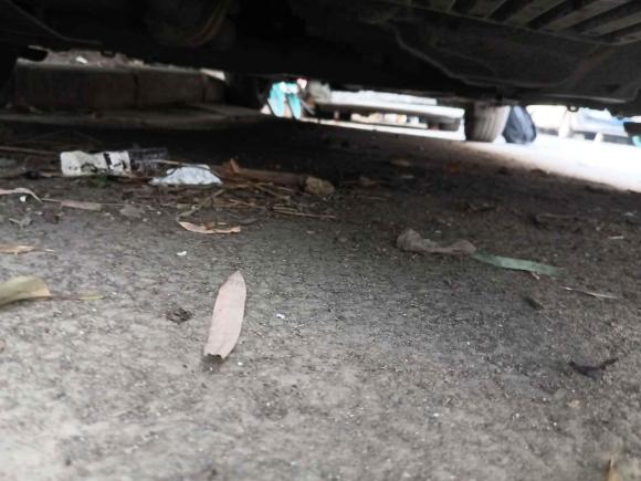 [南京·苏A] 二手铃木启悦2015款 1.6L 自动舒享型