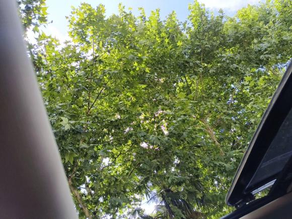 [上海·沪E] 二手众泰众泰SR92017款 2.0T 自动极致之梦版