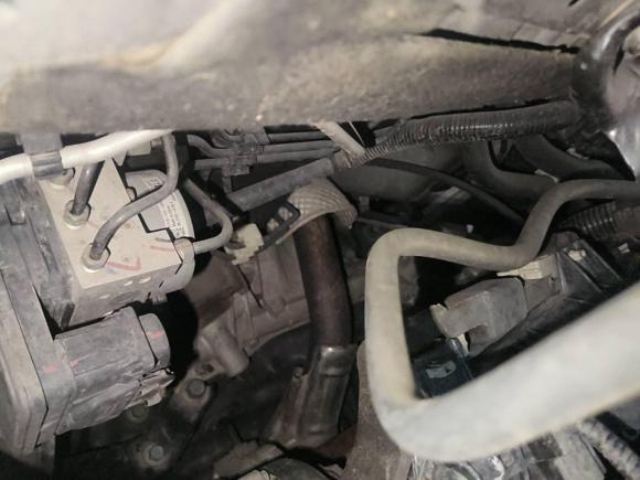 [常州·苏D] 二手本田思域2016款 220TURBO CVT豪华版