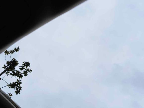 [上海·苏E] 二手别克君威2014款 2.4L SIDI精英时尚型