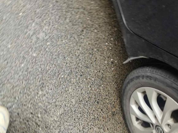 [杭州·浙A] 二手日产轩逸2019款 1.6XV CVT智联尊享版 国V