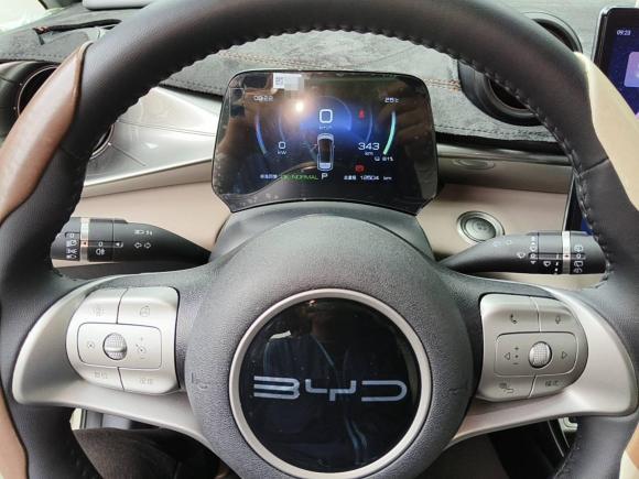 [西安·陕A] 二手比亚迪海豚2023款 420km 时尚版