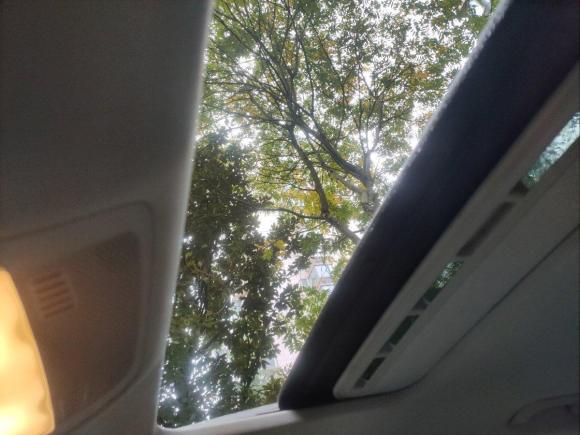 [上海·沪L] 二手奥迪奥迪A4L2011款 2.0 TFSI 舒适型