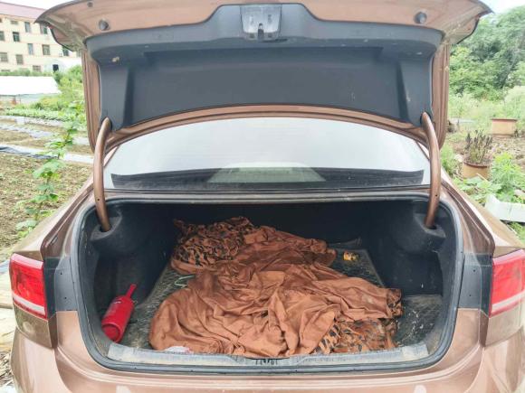 [义乌·浙G] 二手大众凌渡2017款 230TSI DSG风尚版