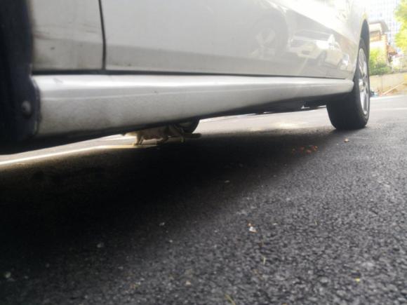 [上海·沪B] 二手大众POLO2013款 1.4L 自动舒适版