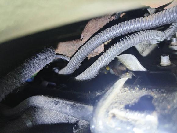 [上海·沪A] 二手凯迪拉克凯迪拉克CTS2008款 3.6L精英高性能版