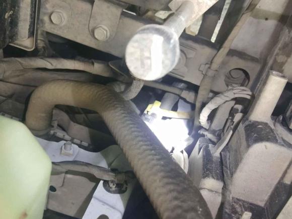 [南昌·赣C] 二手欧拉欧拉黑猫2019款 351km 灵趣版