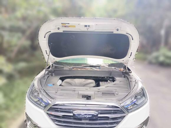 [成都·川A] 二手众泰众泰T3002018款 1.5L CVT尊享型