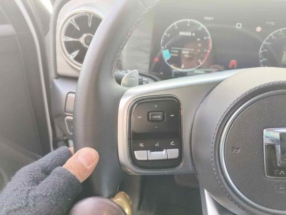 [北京·京N] 二手坦克坦克3002021款 越野版 2.0T 挑战者