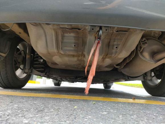 [南京·苏A] 二手本田锋范经典2008款 1.5L 手动精英版