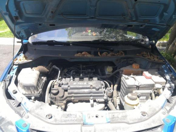 [上海·鄂E] 二手雪佛兰赛欧2013款 三厢 1.4L 手动优逸幸福版