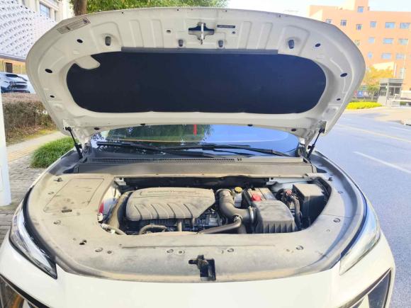 [上海·苏U] 二手东风风行风行T5 EVO2021款 1.5TD DCT钻石版